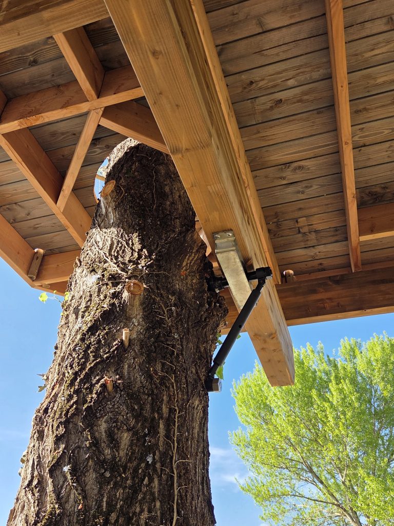 La fixation sur l'arbre de la cabane perchée du César Palace