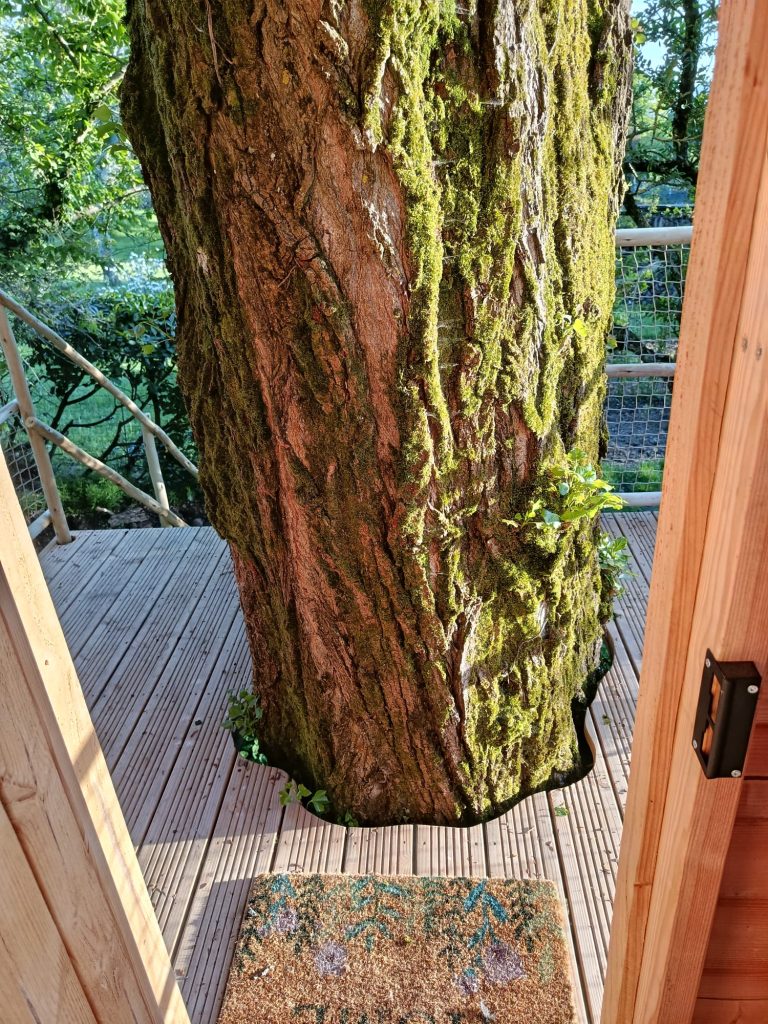 Une cabane dans les arbres en Haute-Savoie