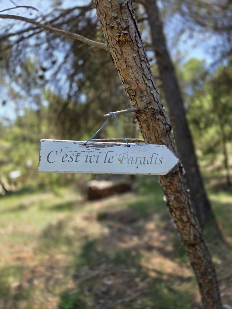 Une Cabane à Caseneuve
